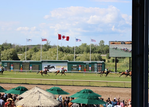 A horse racing event is taking place on a sunny day, with a racecourse surrounded by greenery. Several horses with jockeys are actively racing across the track. Spectators are gathered under shaded canopies in the foreground. Multiple flags, including a prominent Canadian flag, are flying above a scoreboard, and a large screen displays the race.