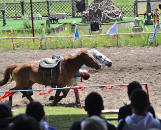 A horse race is taking place with a brown and a white horse racing neck and neck on a dirt track. A rider leans low as the horses gallop past spectators in the foreground. The track is bordered with colorful flags and banners. In the background, there is a green field with decorative structures and statues.