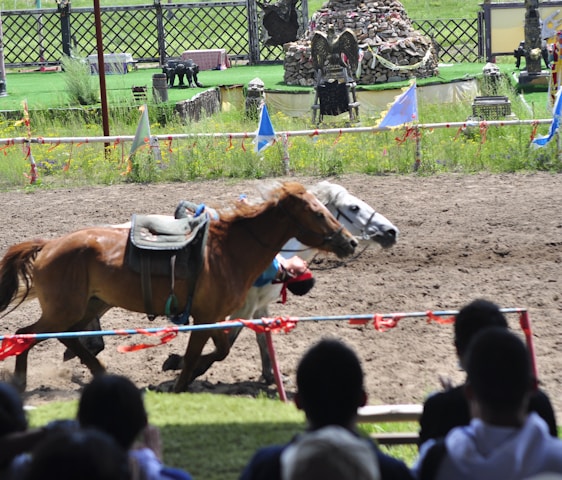 A horse race is taking place with a brown and a white horse racing neck and neck on a dirt track. A rider leans low as the horses gallop past spectators in the foreground. The track is bordered with colorful flags and banners. In the background, there is a green field with decorative structures and statues.